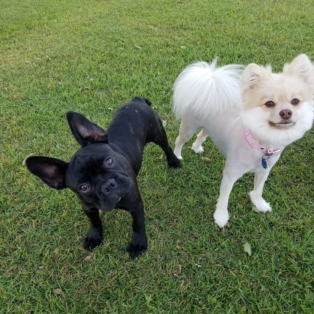 Meet your Posher, Lynn